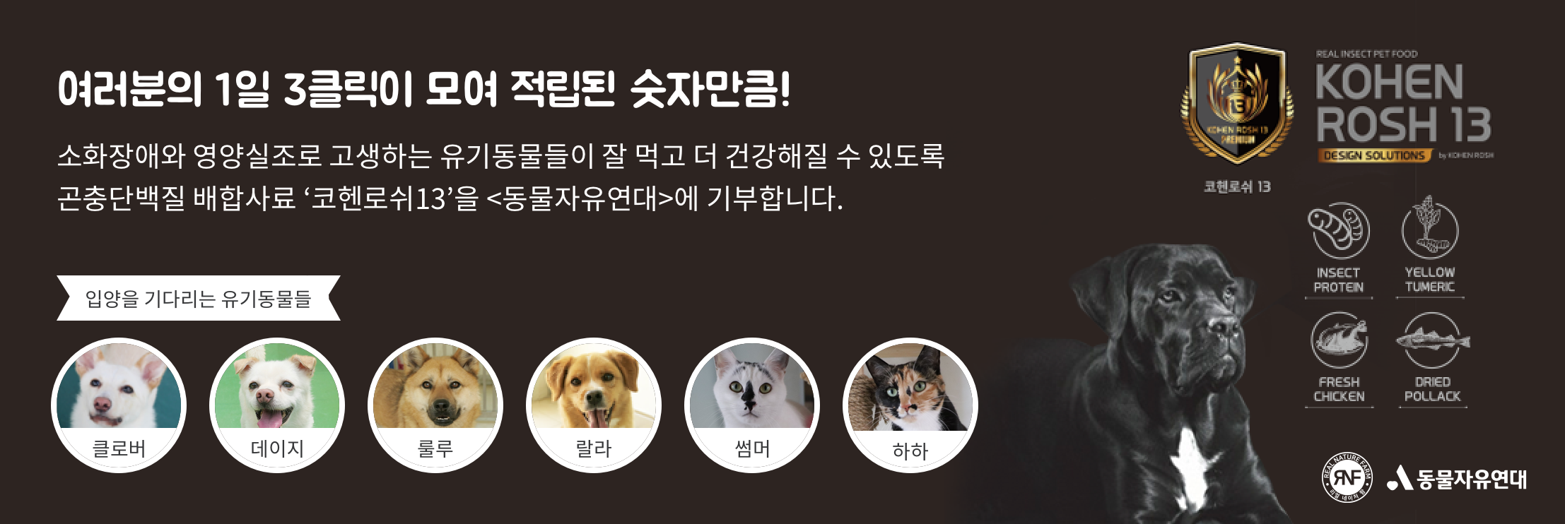 펫방 1주년 기념 유기동물 사료 기부이벤트