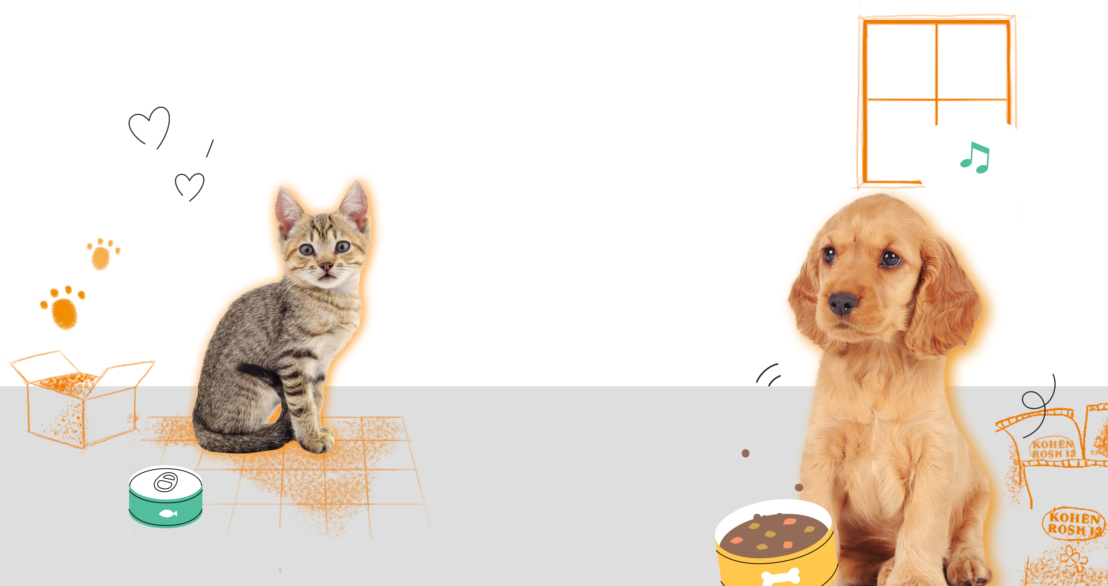 강아지/고양이 이미지